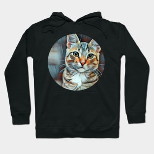 Cheerful floppy cat Hoodie